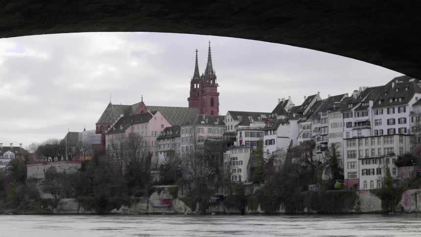 Birds fly beneath a city bridge