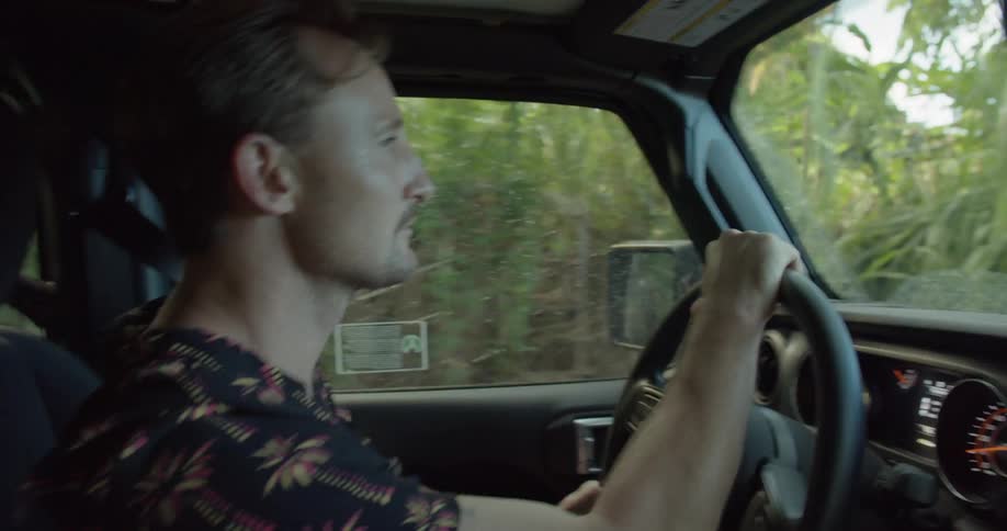 A man is driving past tall trees