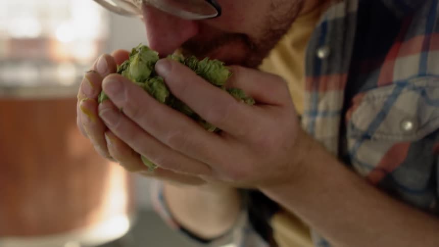 Man Working In Brewery