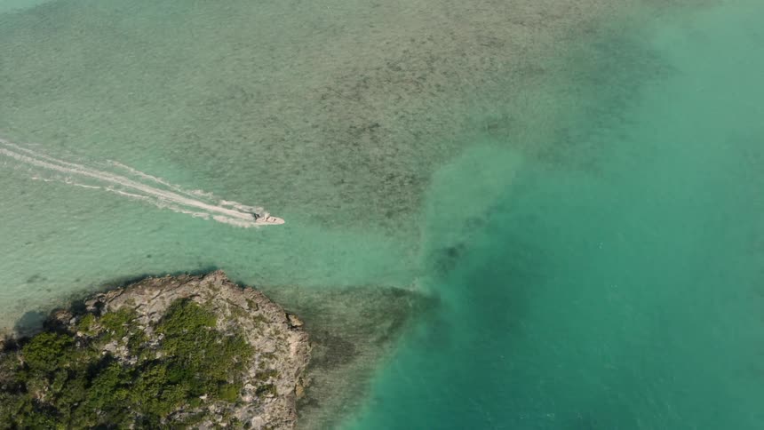 A speedboat travels fast past the shore