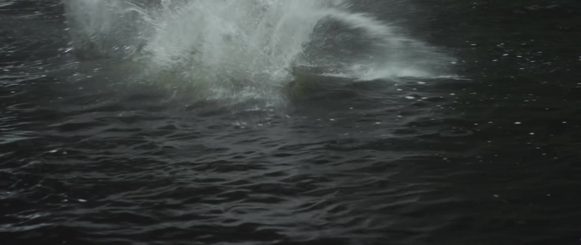Kids jumping into a lake