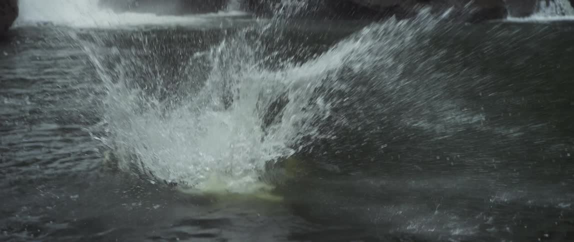 A young man does a backflip into a natural pool with a waterfall in the background