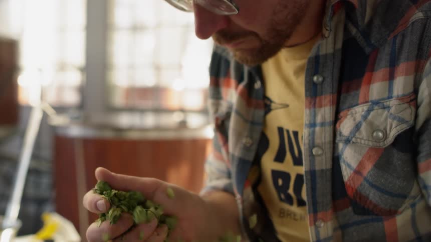 Man smells the green substance in his hands before crushing it