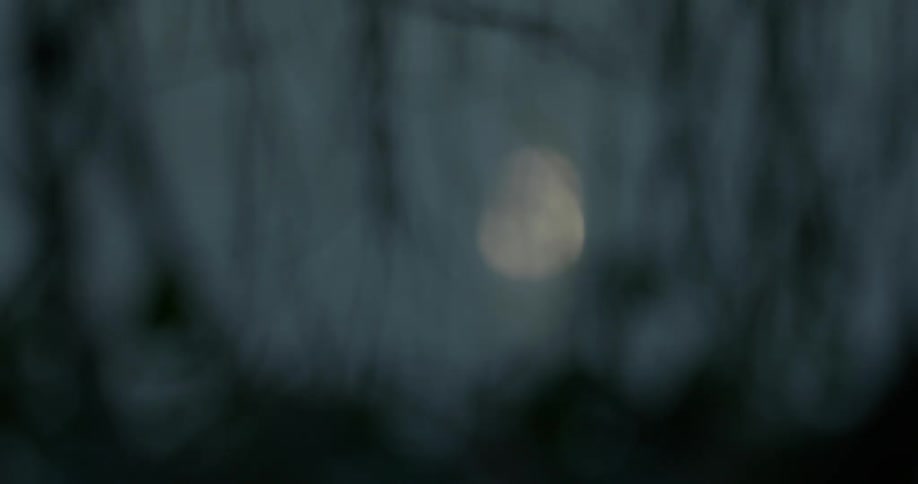 The water is moving and reflecting the moon