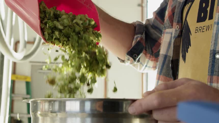 Ingredients are poured into a metal bowl at a brewery