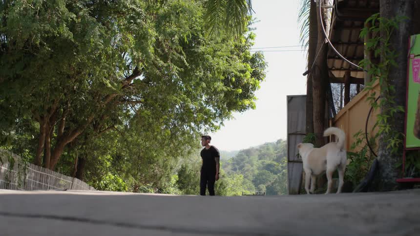 A man is walking with a camera towards a white dog