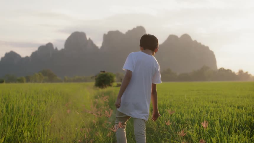 A young boy walks through the grass