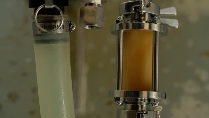 The tubes fill with liquid