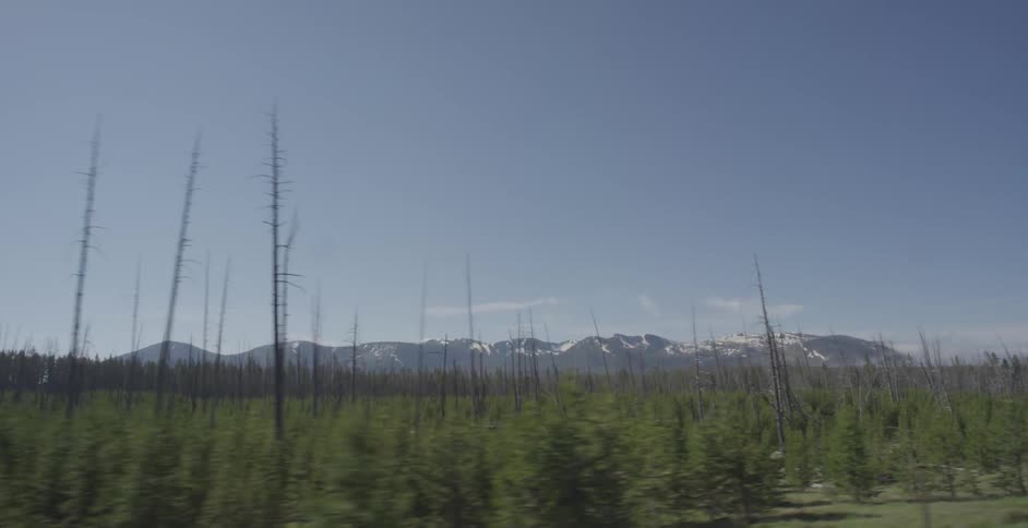 Yellowstone