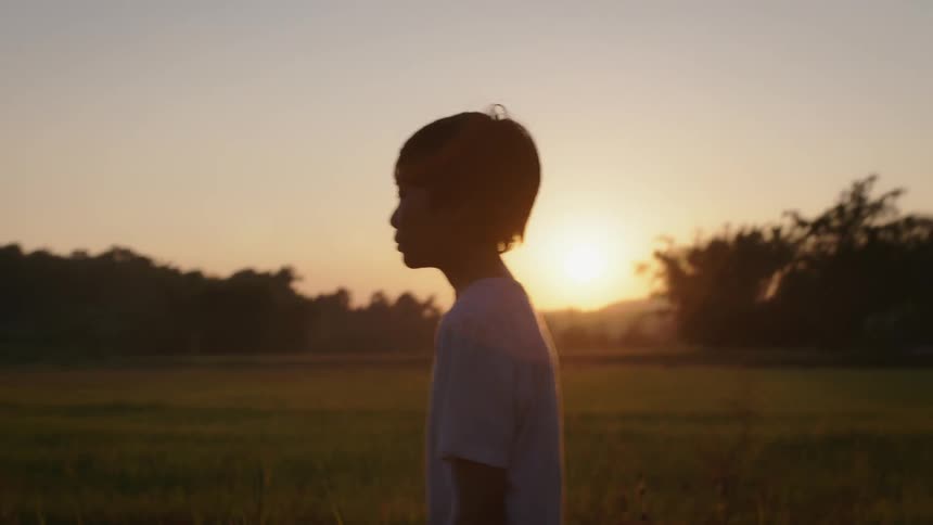 Young boy walks through a field