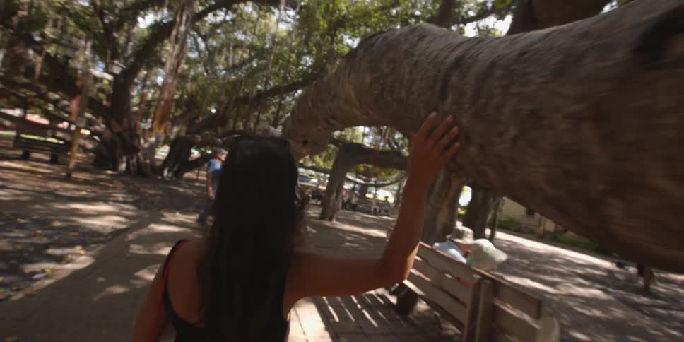 A woman walks past a tree and rubs it as she walks