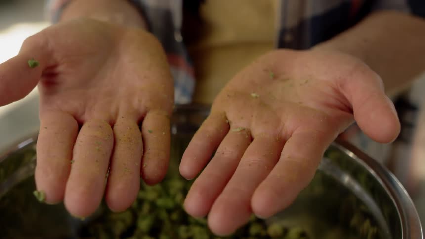 A man holds his hand above a bowl of hops