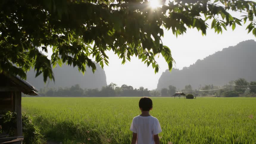 Boy In Thailand