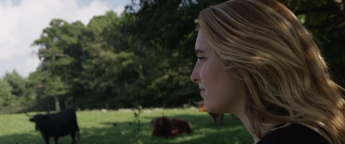 A person staring off at the horizon