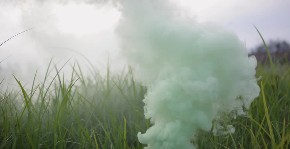 Green smoke billows in a grassy field