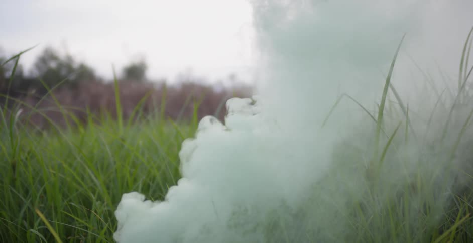 Smoke billows up and over grass