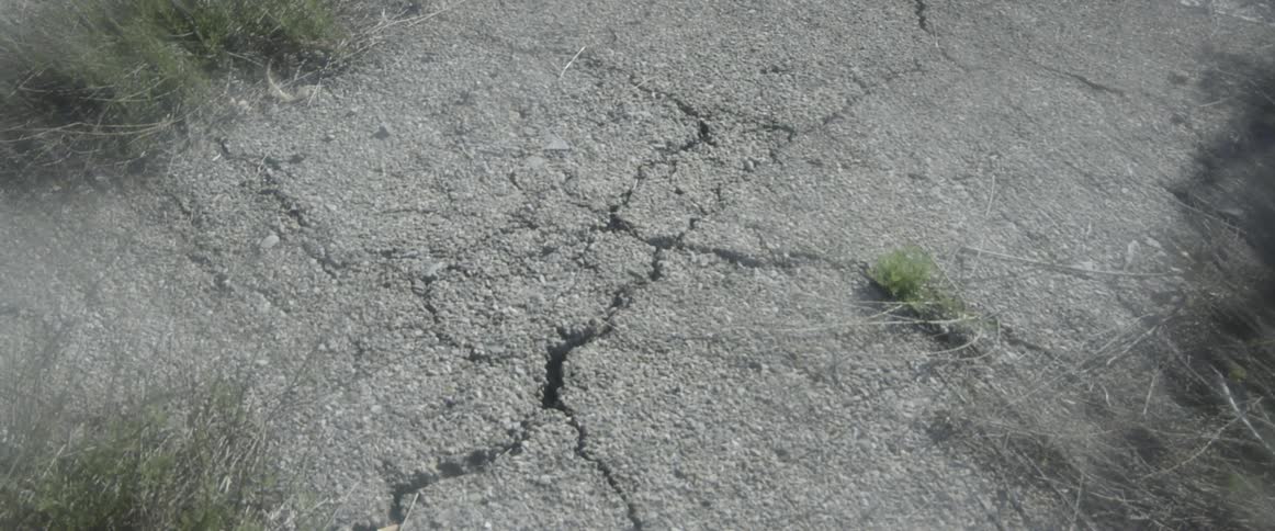 View of cement with grass growing in the cracks