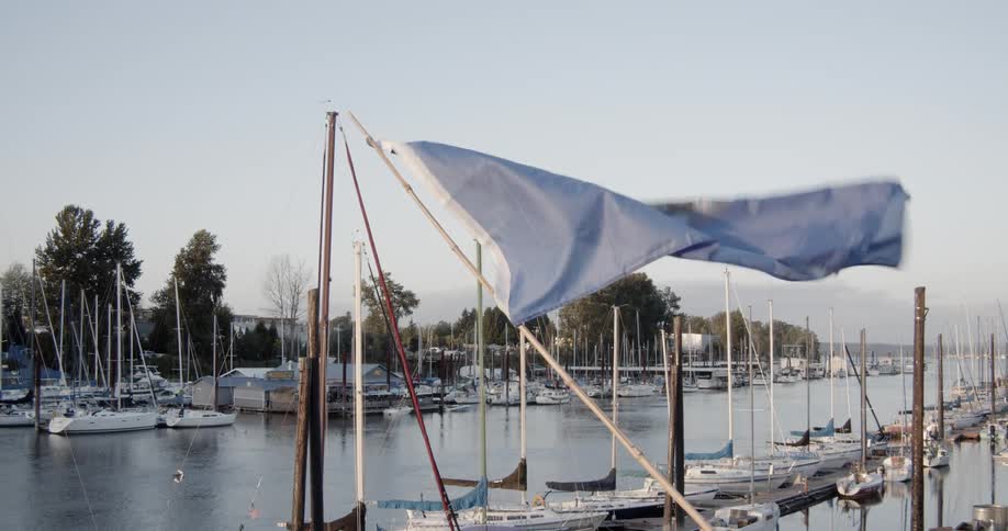 A flag is waving in the breeze on a pole at a boat marina in daylight