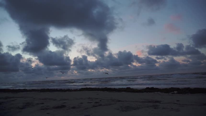 Birds fly along the shore above the water