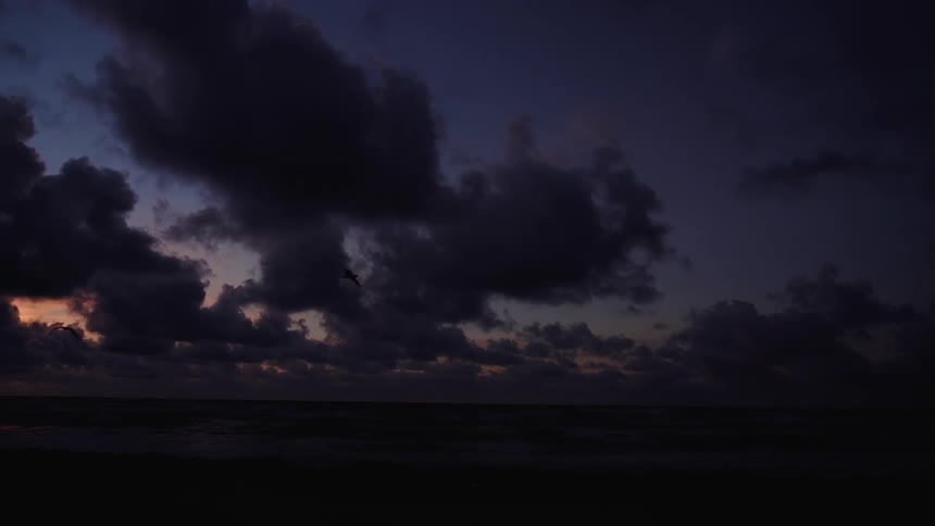 Coastal Beach Morning Landscape