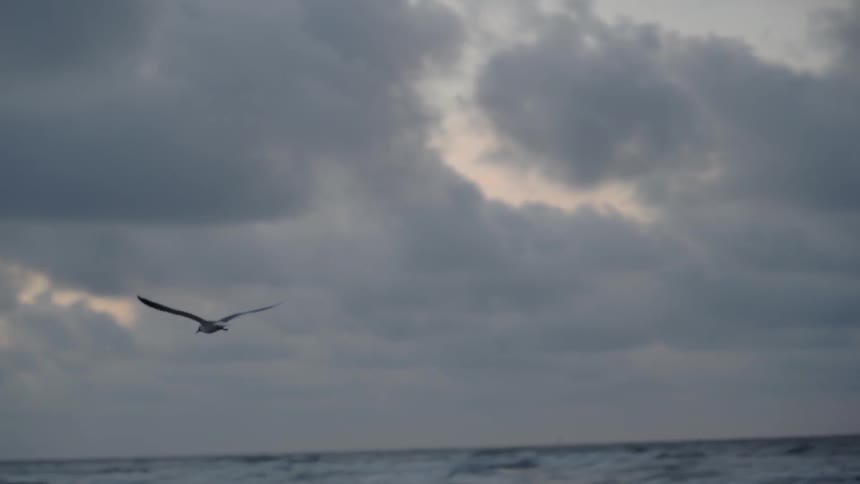 A seagull flies over ocean waves at sunset