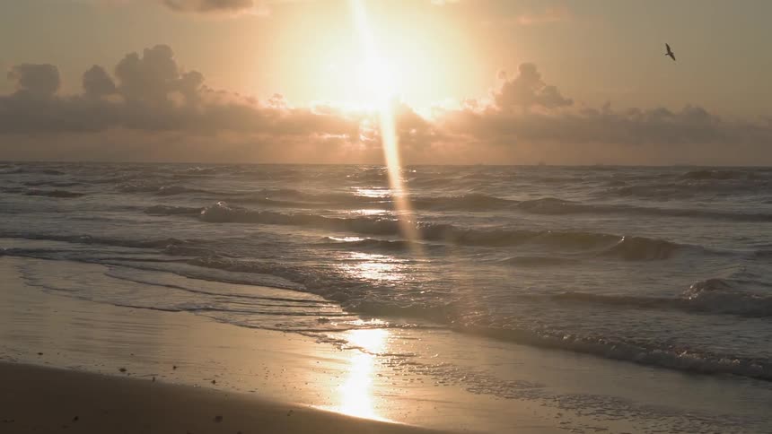 Coastal Beach Morning Landscape