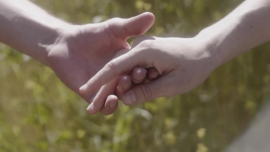 A man and woman hold hands in a sunny meadow