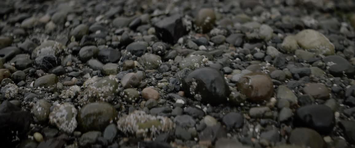 Rocks and pebbles on the floor of nature