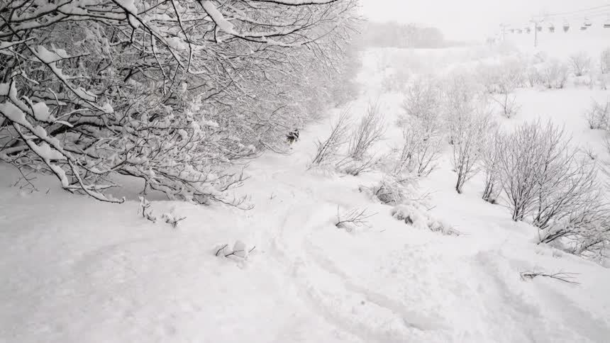 A skier is wending his way through a wooded trail on a snowy day