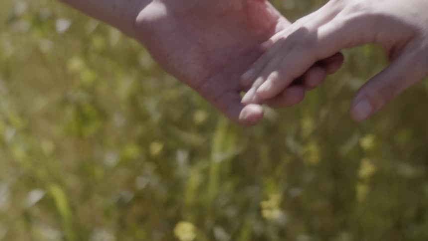 Two people holding hands in the forest