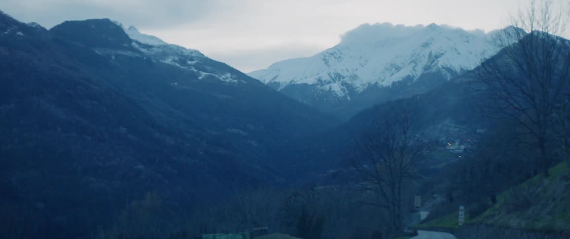 The tree has no leaves before the snow covered mountain