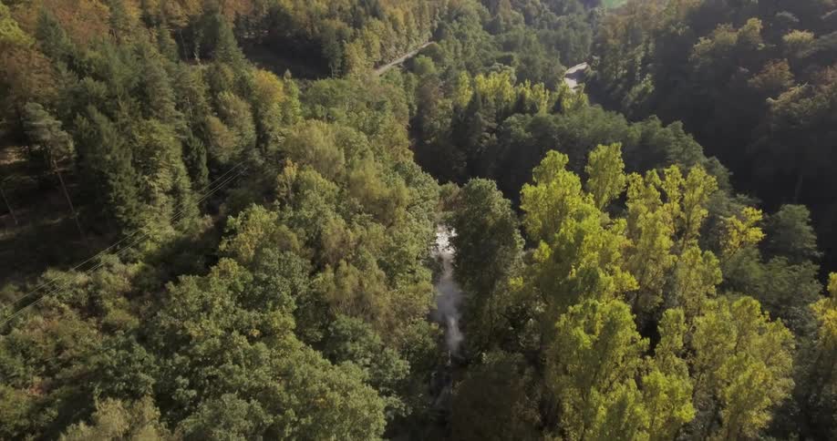 Train Traveling Through Nature