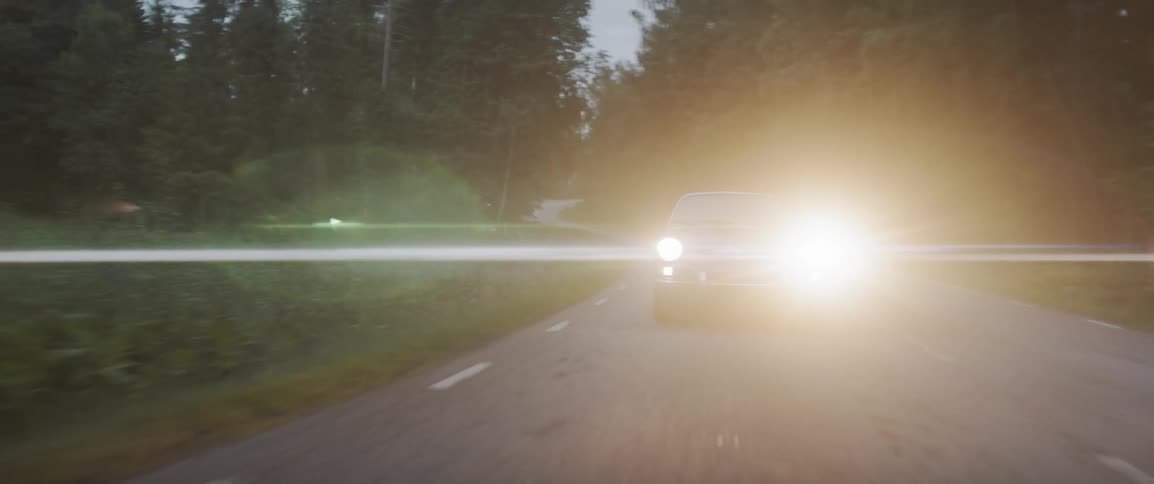 A car's headlight illuminates the forest road