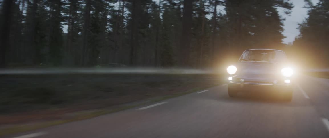 Driving Through Foggy Swedish Forest