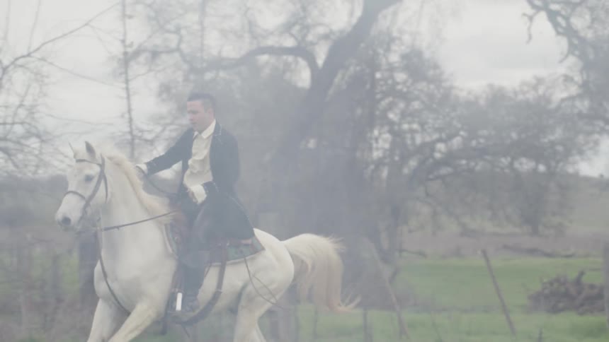 Man rides a white horse in a misty field