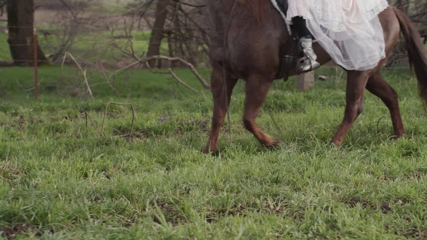 Person wearing a white dress rides a brown horse