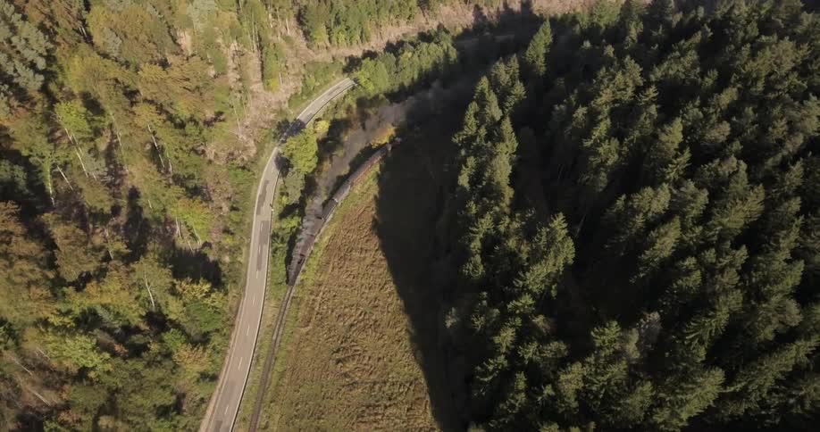 Train Traveling Through Nature