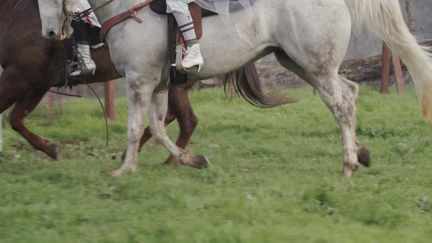 People riding horses during the day