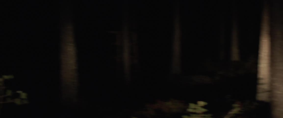 The lamp shines briefly on the trees in the woods