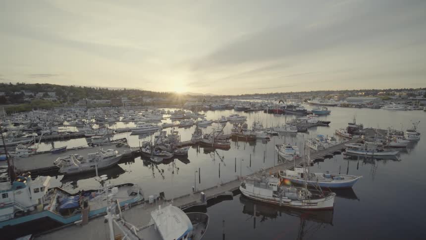 Commercial vessels and boats docked at harbor as the sun sets along the horizon