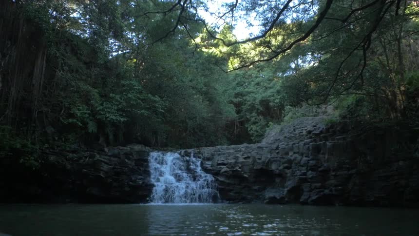 A small waterfall in a forest