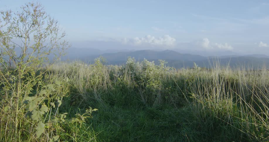 The sun shines on the rolling grass plains