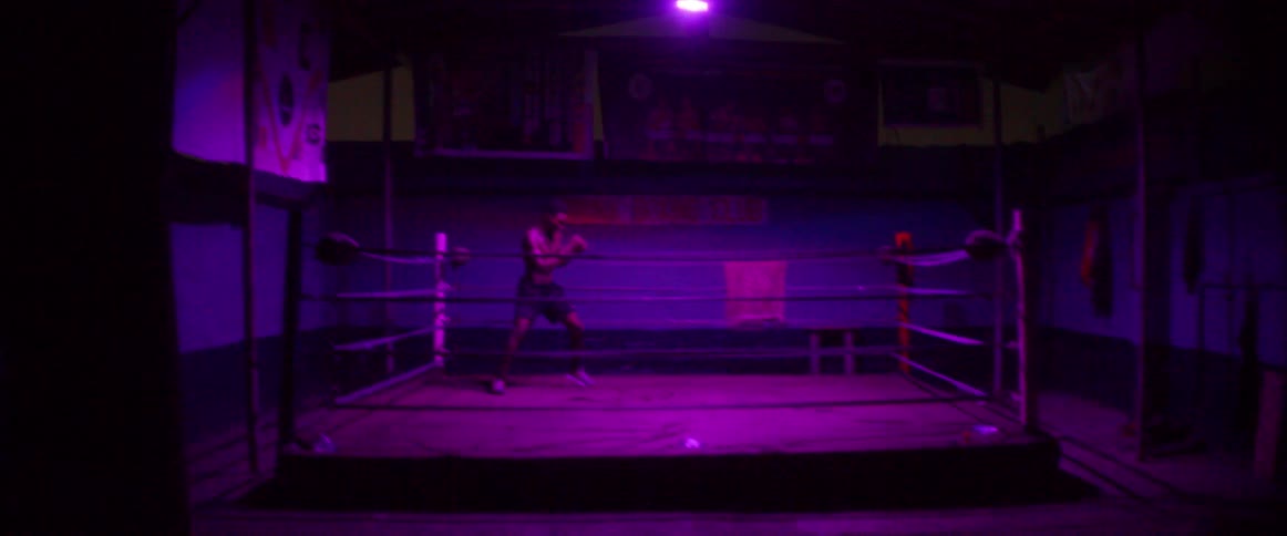 Boxer Training