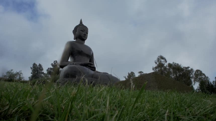 A large buddha statue in a field with trees in the background