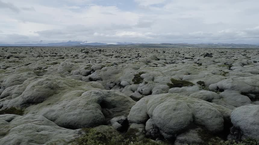 The field is full of large rocks