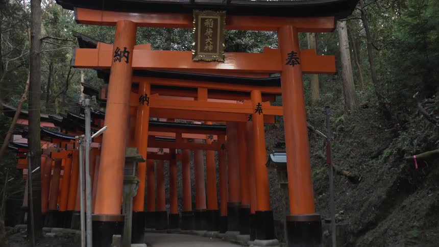 A person walks into a tunnel of torii gates at Fushimi-Inari shrine
