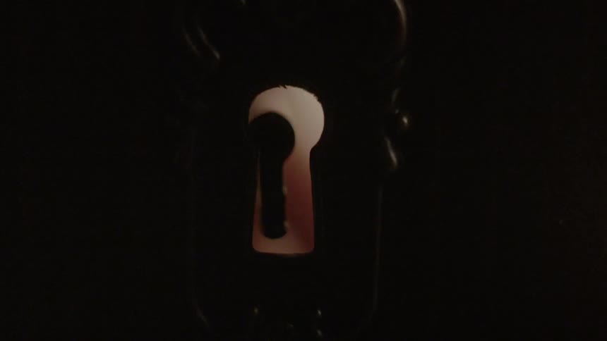 Skeleton key is inserted into a keyhole
