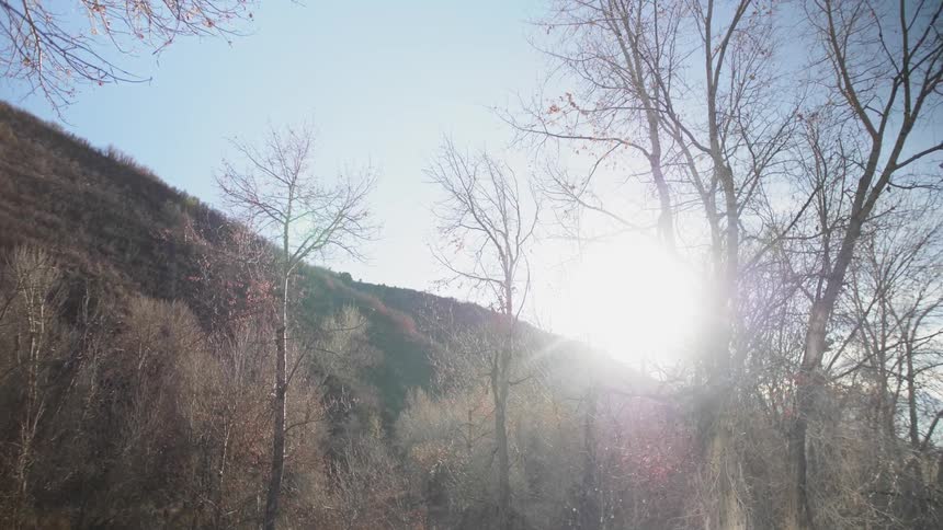Sun rises over trees and hills