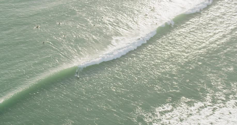 Many people are surfing near the shore