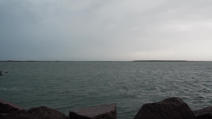 A bird flies over the rough water